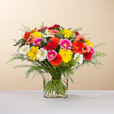 Mettez un sourire sur le visage de quelqu'un avec un délicieux bouquet de marguerites Gerbera fraîches aux couleurs vives de sorbet !