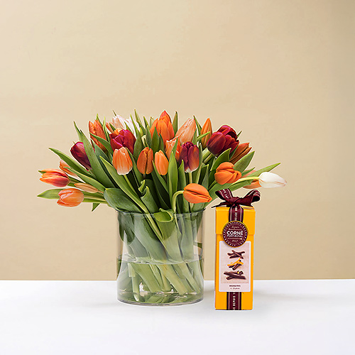 Bunte Tulpen mit Corné Port-Royal orangettes