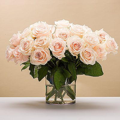 Surprise your sweetheart with a lovely bouquet comprised of 20 light colored roses. There is no better way to send your affection than with a classic bouquet of the prettiest roses. It's the perfect gift for weddings, anniversaries, her birthday, or any romantic occasion.