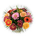 Gerbera Mélange Bouquet (30 cm) [02]